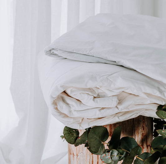 Cotton Mattress Protector – Health Assurance Pack by Bambi