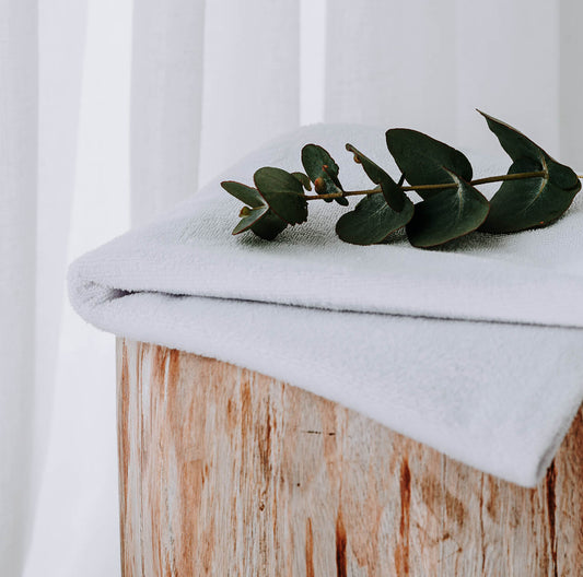 Protectiva Cotton/Bamboo Waterproof Pillow Protector – Towelling by Bambi