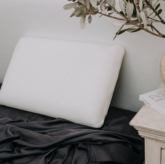 Bravo Memory Foam Pillow by Bambi