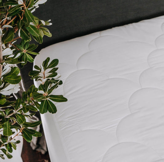 Ecorenew Tencel® Mattress Protector by Bambi