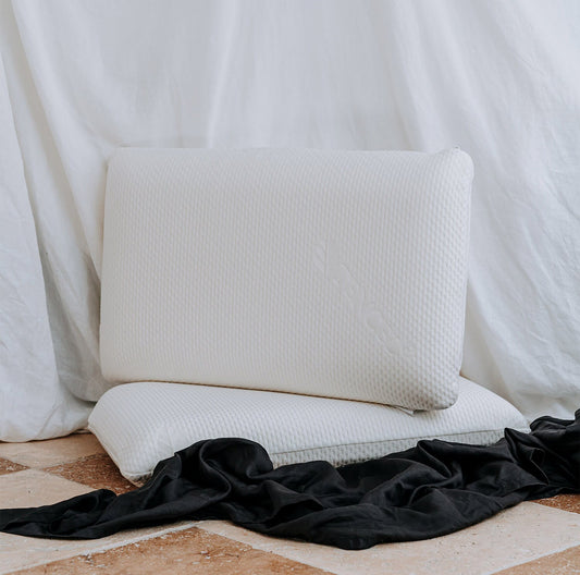 Bravo Memory Foam Pillow by Bambi