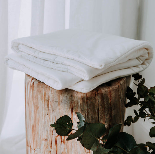 Ecorenew Tencel® Pillow Protector by Bambi