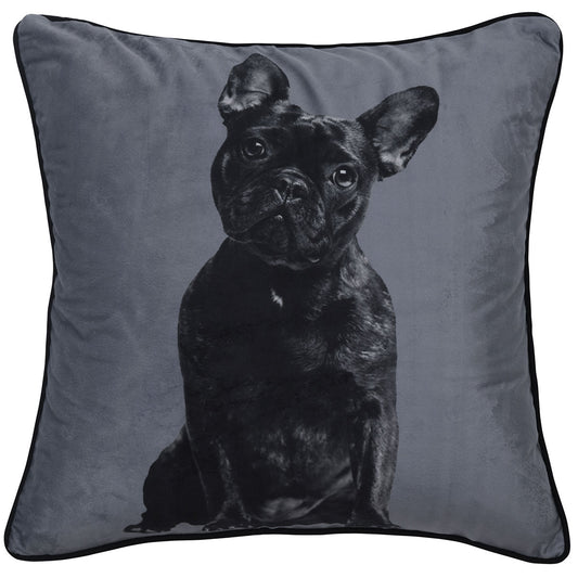 French Bulldog Velvet 43x43 cm Cushion By Bianca