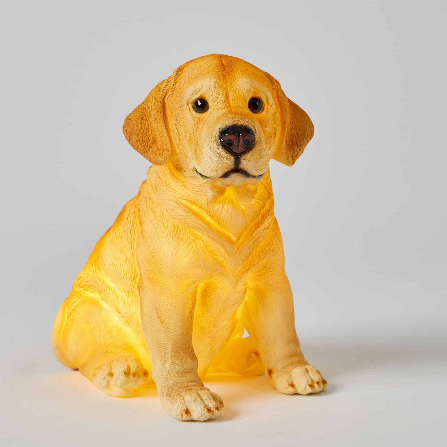 Kids Lamp Night Light-Labrador by Jiggle & Giggle