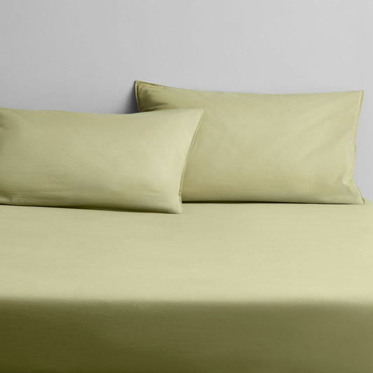 Onslo Asparagus Fitted Sheet set by Sheridan